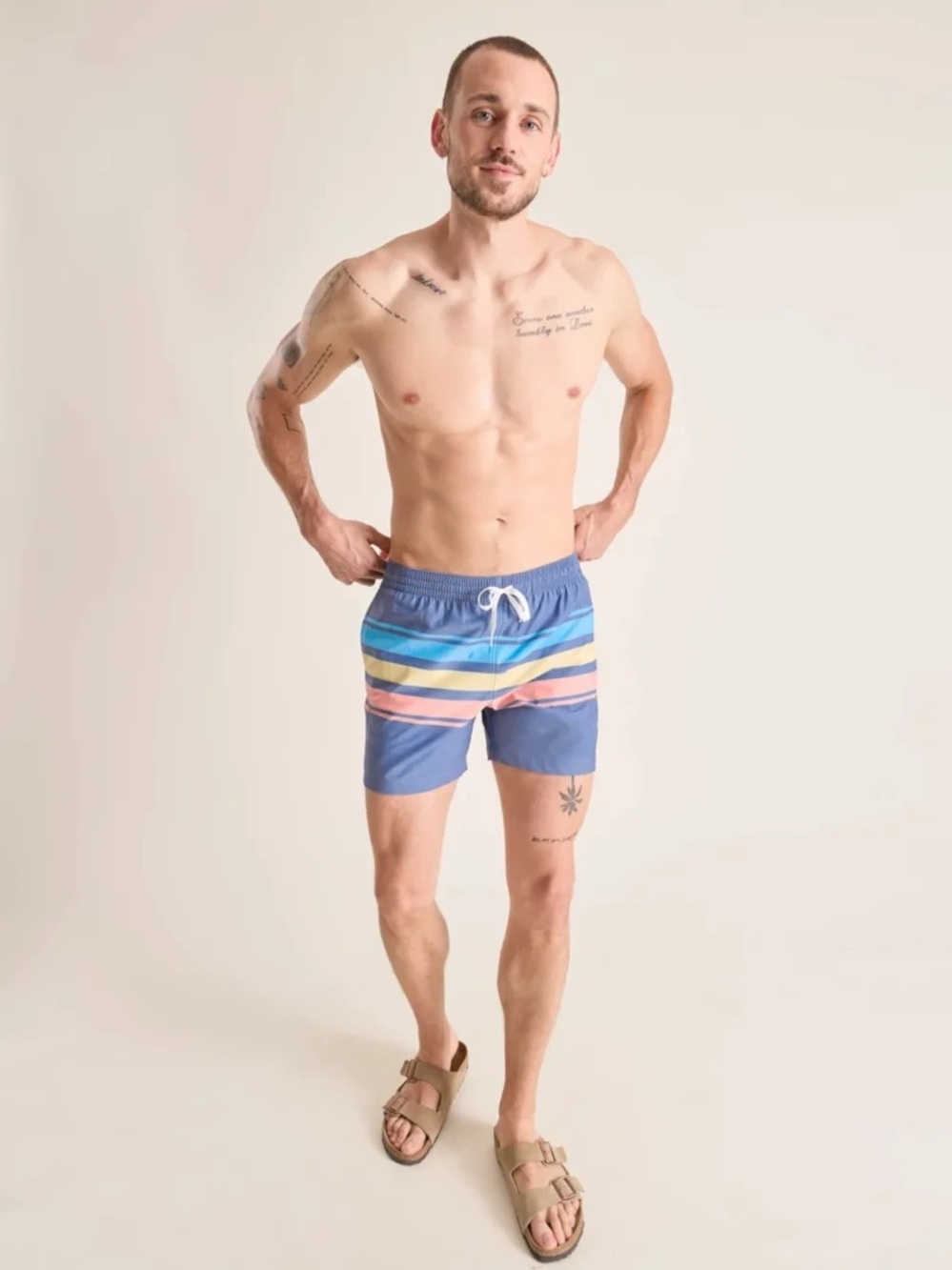 Men’s Chubbies Pastel Stripe Bathing Suit, M